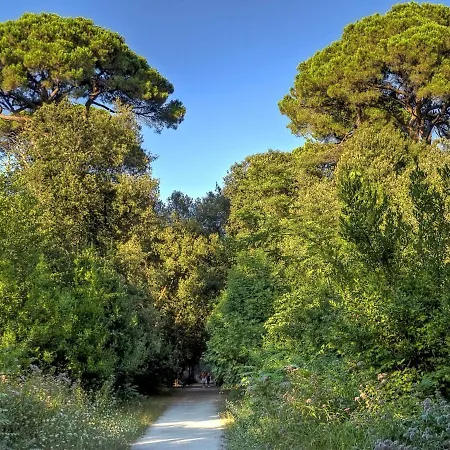 Lungomare By Interhome *